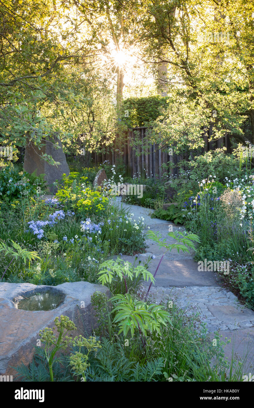 English Cottage Garden in primavera nel Regno Unito con giardino pavimentato in pietra e bagno di uccelli fascio di sole attraverso gli alberi all'alba giardino misto confina con la piantagione Foto Stock