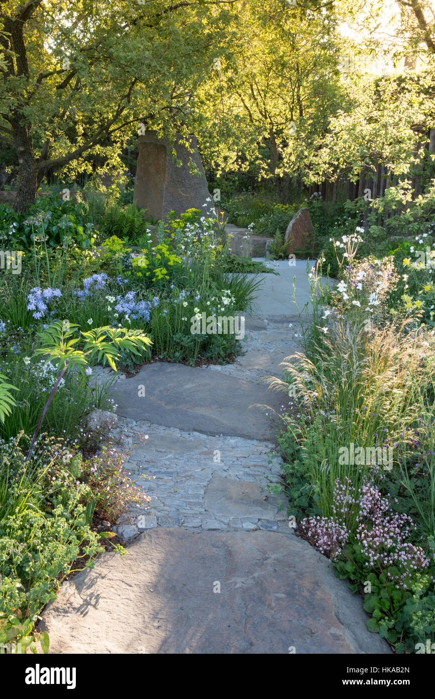 English Cottage Garden Path in primavera con pavimentazione pavimentata in pietra e sunbeam attraverso gli alberi confini misti del giardino che piantano erbe ornamentali UK Foto Stock