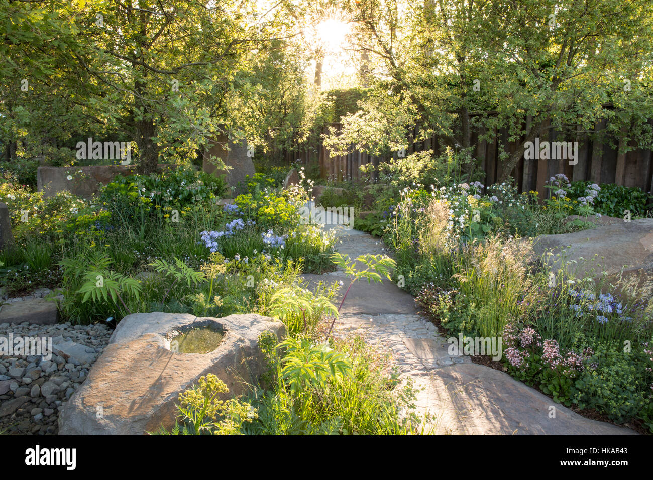 English Cottage Garden in primavera nel Regno Unito con giardino pavimentato in pietra e bagno di uccelli fascio di sole attraverso gli alberi all'alba giardino misto confina con la piantagione Foto Stock