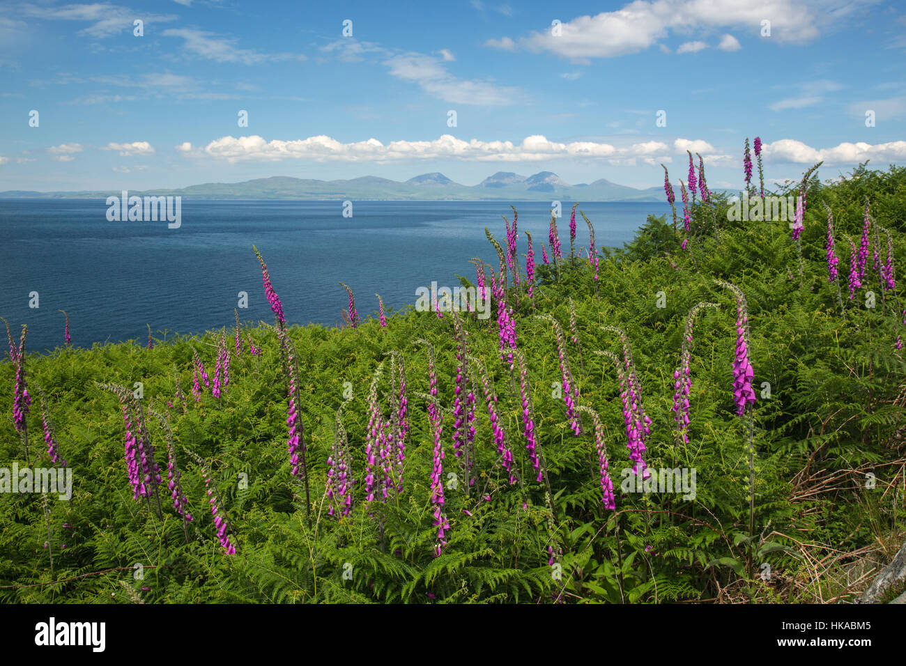 Guardando fuori per il Isle of Jura dall'isola di Gigha, Scozia Foto Stock
