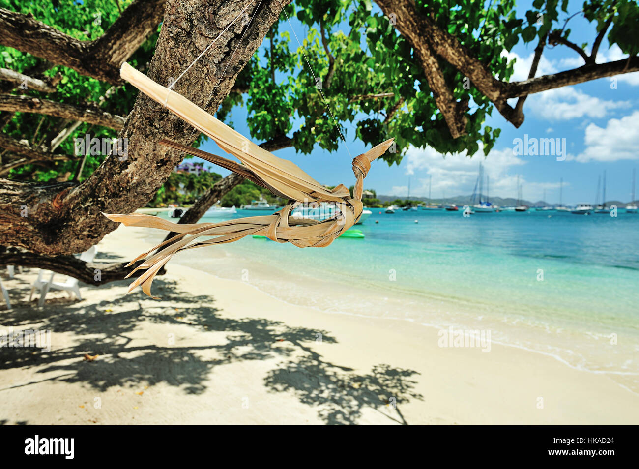 Bird da legno in Paradise Beach di St Joan isola Foto Stock