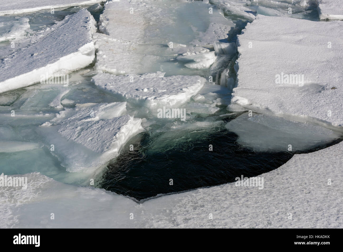 Fiume break-up, fiume di Yukon, Whitehorse, Yukon Territory Foto Stock