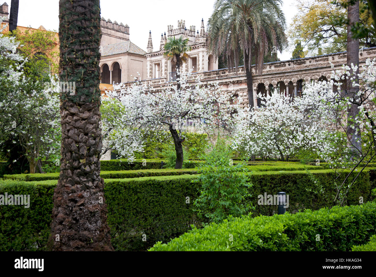 Primavera sbocciano i fiori nei giardini dell'Alcazar di Siviglia, in Andalusia. Foto Stock