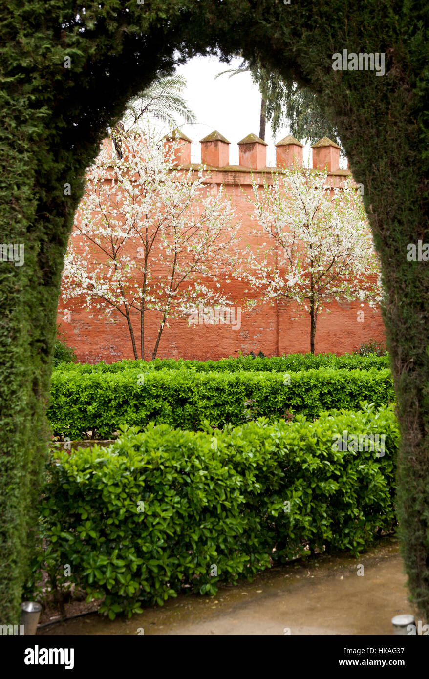 Primavera sbocciano i fiori visti attraverso una siepe arch nei giardini dell'Alcazar di Siviglia Andalusia Foto Stock