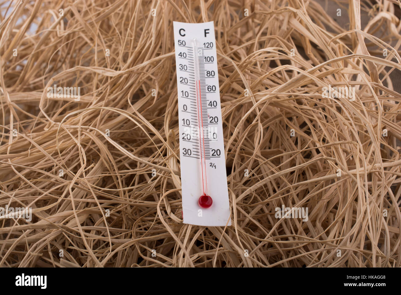 Termometro posizionato su un marrone chiaro sfondo della paglia Foto Stock