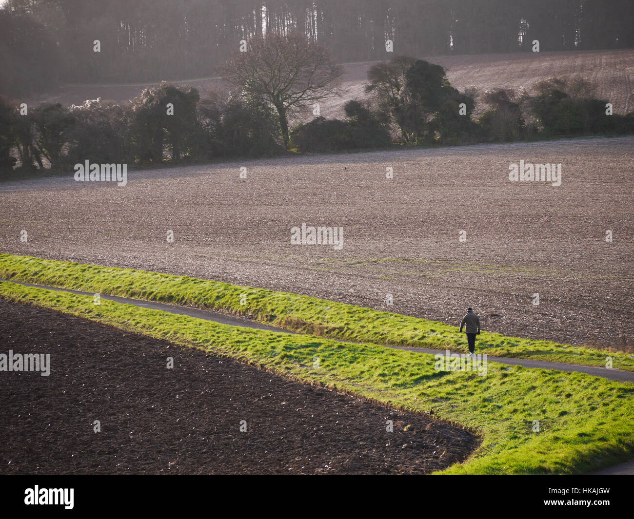 La campagna inglese Foto Stock