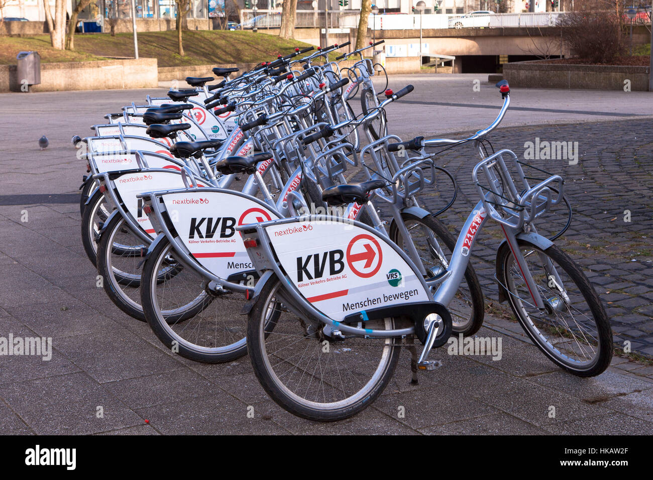 Germania, Colonia, biciclette a noleggio della società Koelner Verkehrsbetriebe KVB (Colonia azienda di trasporto pubblico) Foto Stock