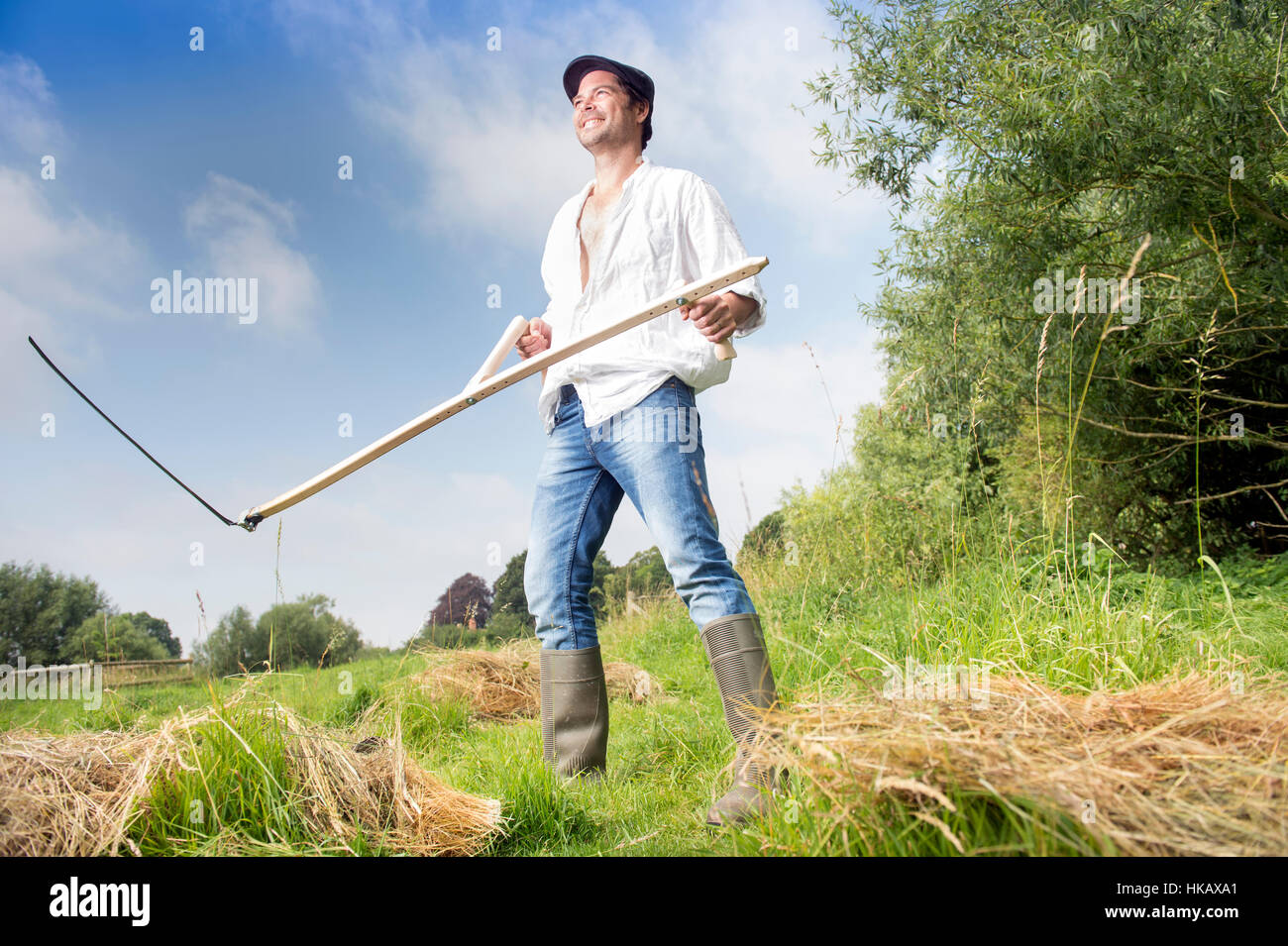 Un uomo scything suo campo REGNO UNITO Foto Stock