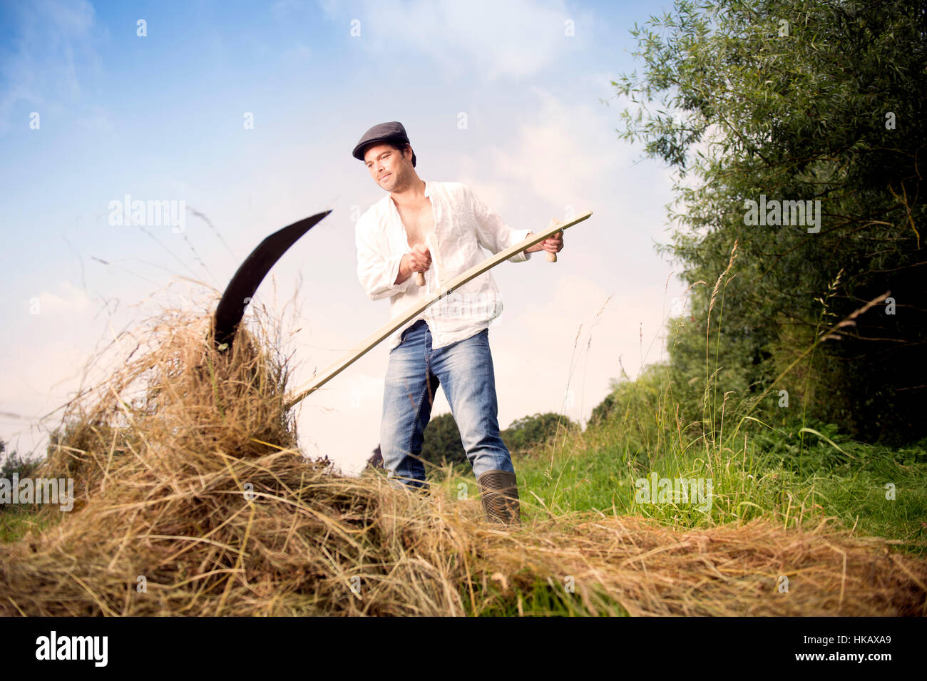 Un uomo scything suo campo REGNO UNITO Foto Stock