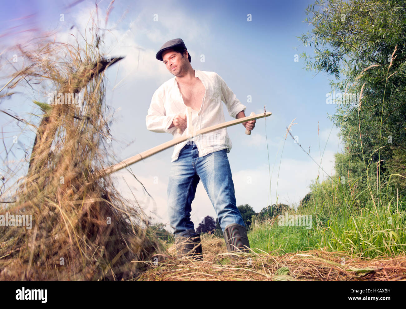 Un uomo scything suo campo REGNO UNITO Foto Stock