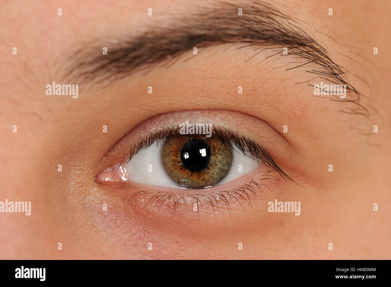 Chiusura del sinistro occhio umano Foto Stock