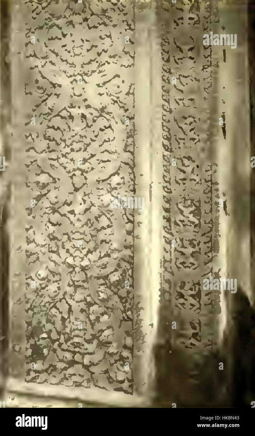 Questa opera raffigura il motivo iconico di una colonna alla porta Ovest di Angkor Wat, Cambogia. Nota per le sue intricate incisioni e il significato storico, questa colonna fa parte del grande patrimonio architettonico e artistico di Angkor Wat, un simbolo della cultura Khmer. Foto Stock