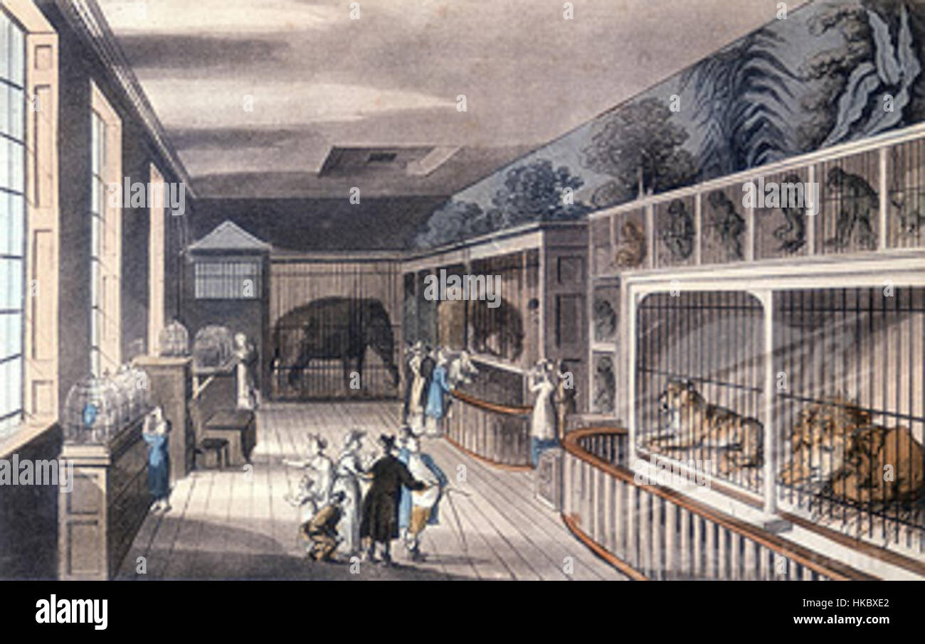 Un'opera d'arte del 1820 raffigurante l'Exeter Change, un edificio del XVIII secolo a Londra una volta sede di mostre di animali e intrattenimento pubblico. Le opere d'arte riflettono la storica vita londinese e la sua cultura di intrattenimento. Foto Stock