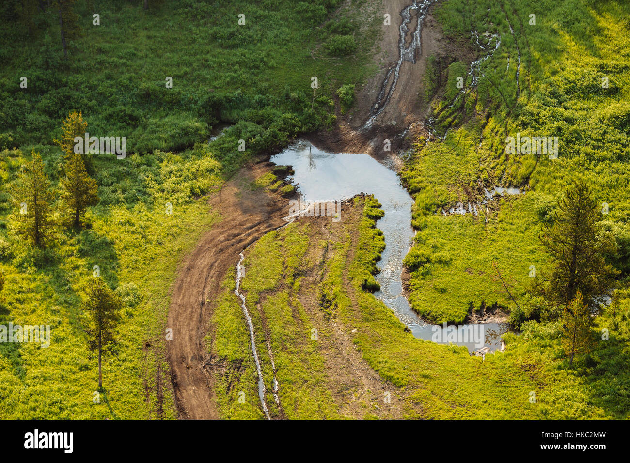 Pedemontana-logging-alberta Foto Stock