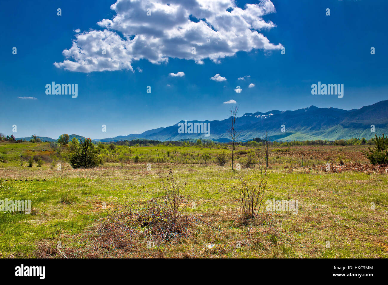 Verdi paesaggi della regione di Lika, Croazia Foto Stock