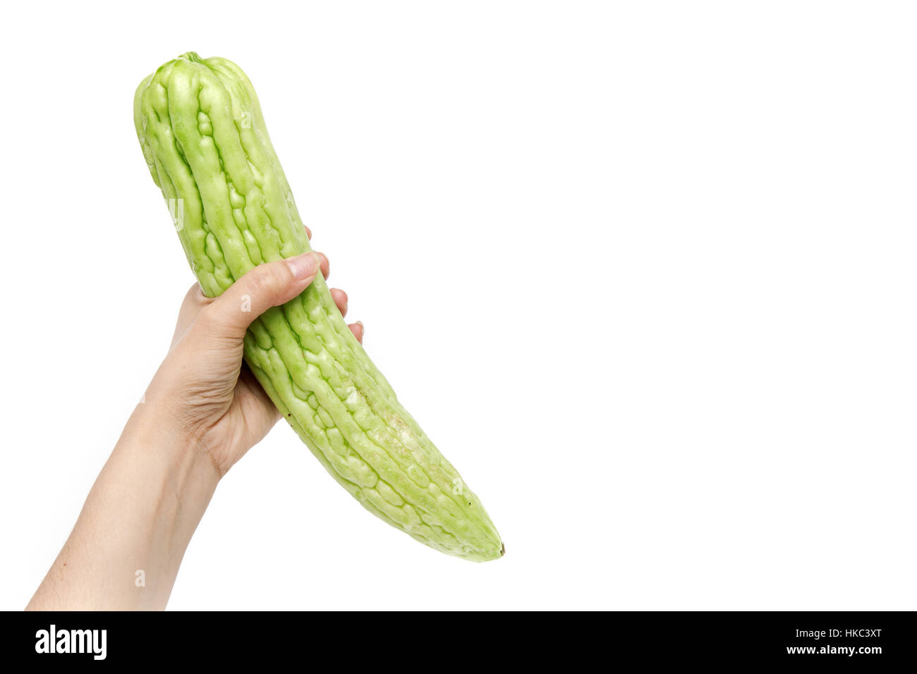 Mano che tiene il gourd, cetriolo amaro o balsamo pera su sfondo bianco isolato Foto Stock