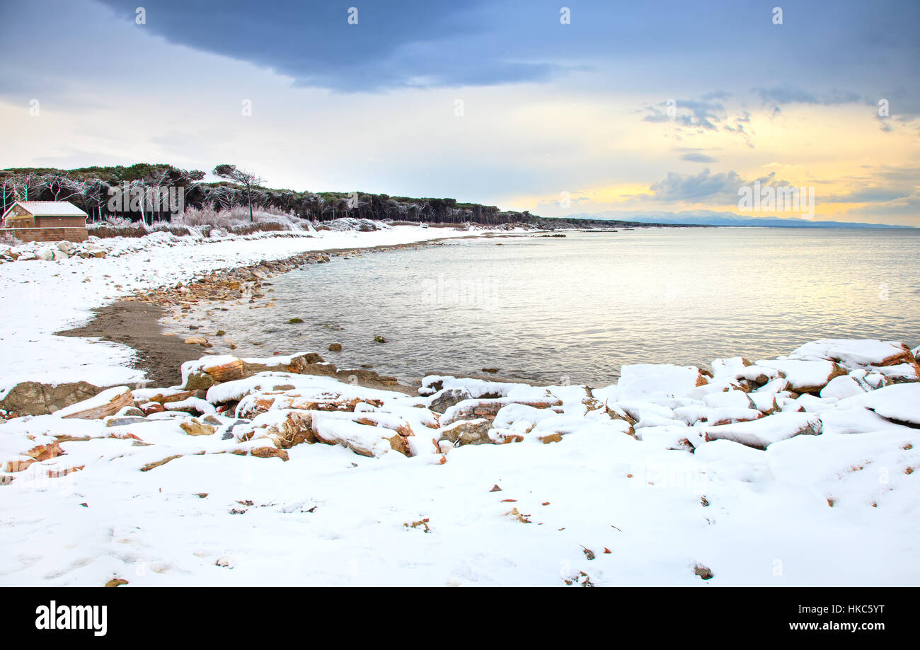 La baia di spiaggia e di pini coperti di neve sul mare mediterraneo in inverno. Toscana, Italia Foto Stock