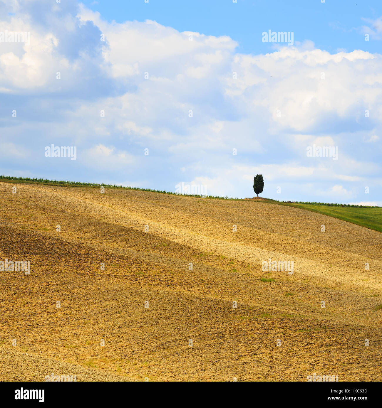 Toscana paesaggio di campagna, collina cipresso e campi. Siena, Val d Orcia Italia, Europa. Foto Stock