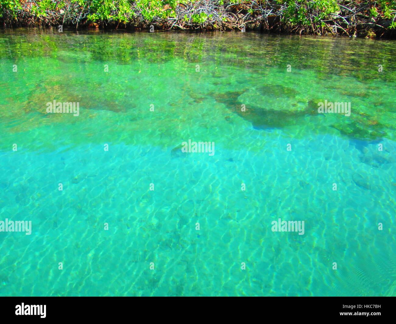 Mochima Bay, Venezuela, diverse viste di rive di questo parco nazionale. Foto Stock