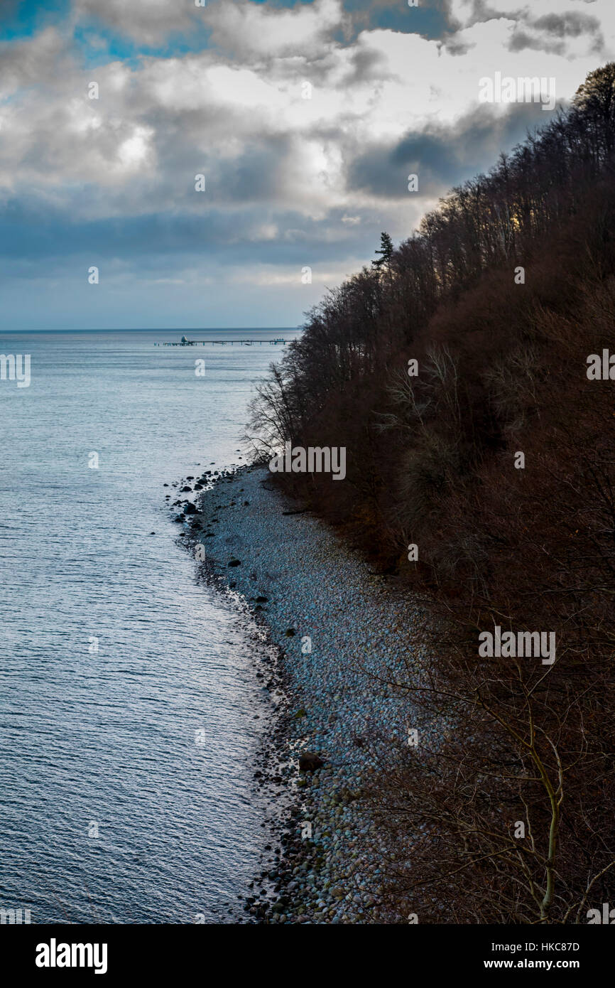 Faggi, foresta lungo la linea costiera dell'isola RŸgen, Mar Baltico, in Germania, in inverno Foto Stock