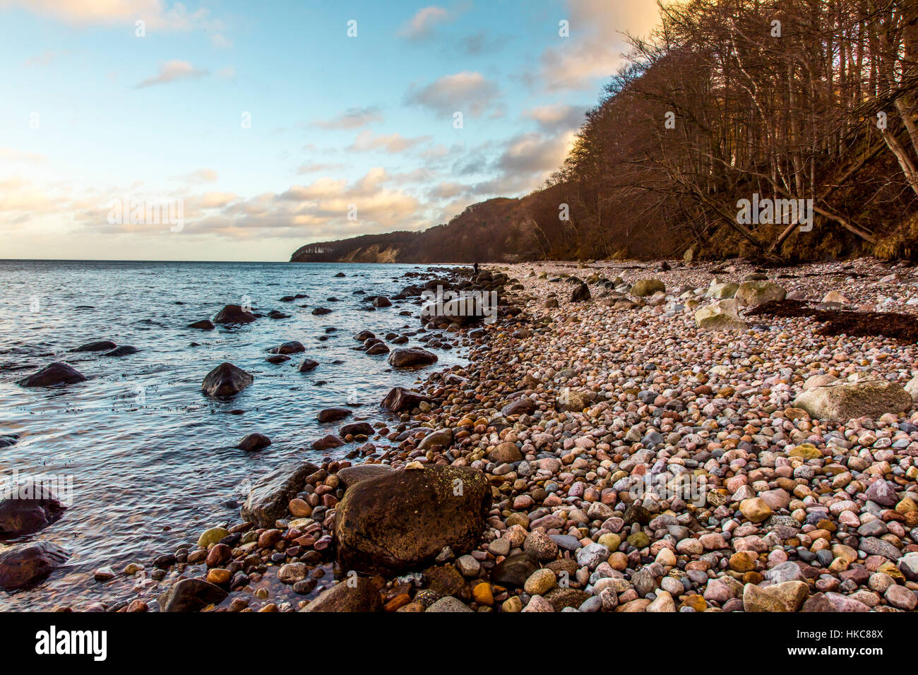 Granelli di pietra, spiaggia della linea costiera dell'isola RŸgen, Mar Baltico, in Germania, in inverno Foto Stock