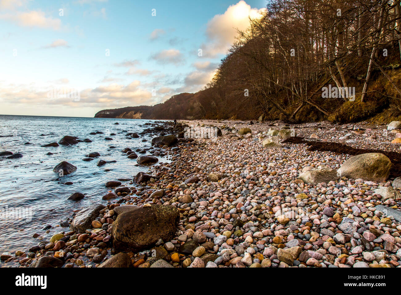 Granelli di pietra, spiaggia della linea costiera dell'isola RŸgen, Mar Baltico, in Germania, in inverno Foto Stock