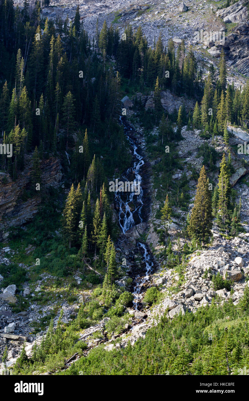 Un versamento a cascata verso il basso la parete del canyon del pennello Canyon. Il Parco Nazionale del Grand Teton, Wyoming Foto Stock