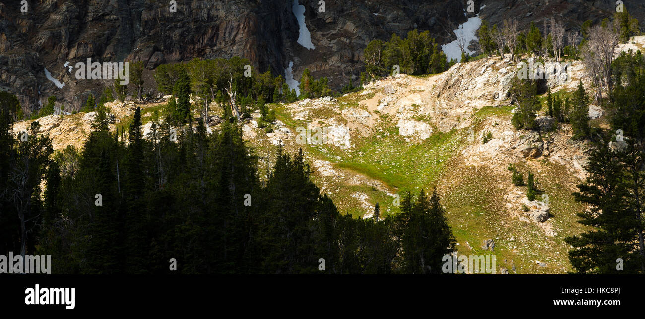 Grandi montagne e tundra alpina al di sopra di alberi sempreverdi nella parte superiore del pennello Canyon nel Teton Mountains. Il Parco Nazionale del Grand Teton, Wyoming Foto Stock