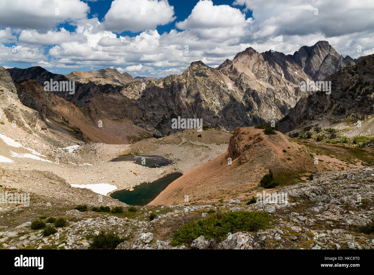 Montare Moran che domina a nord di Teton picchi e tomaia Leigh Canyon, come visto da vicino il pennello dividere. Il Parco Nazionale del Grand Teton, Wyoming Foto Stock