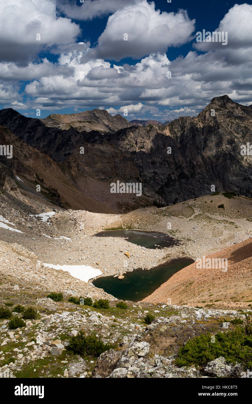 Montare Moran che domina a nord di Teton picchi e tomaia Leigh Canyon, come visto da vicino il pennello dividere. Il Parco Nazionale del Grand Teton, Wyoming Foto Stock