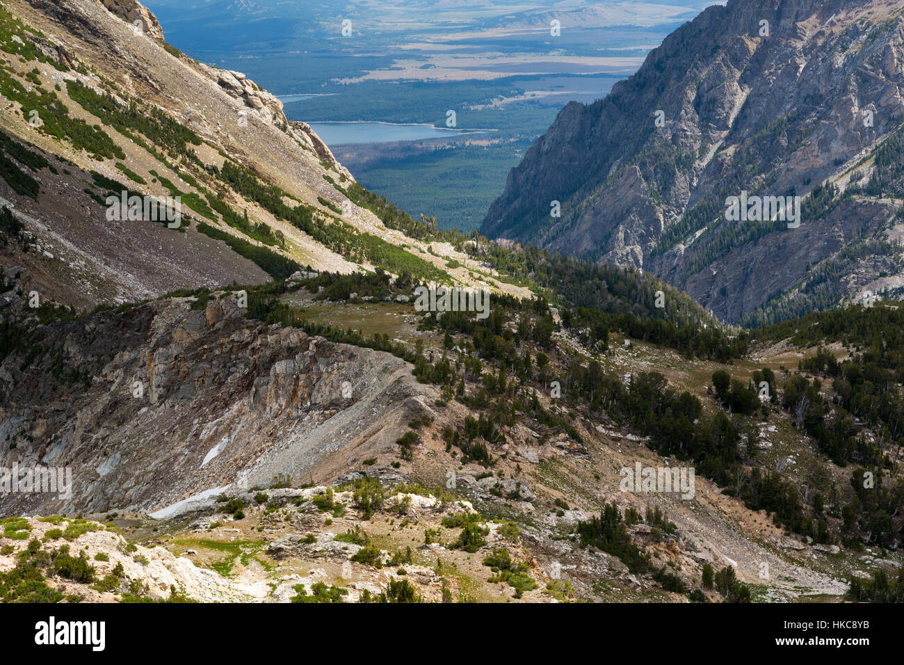 Il lago Jackson che spuntavano dal nord Jackson Hole al di sotto delle altitudini più elevate del pennello Canyon e il pennello si dividono in Teton Mountains. Foto Stock
