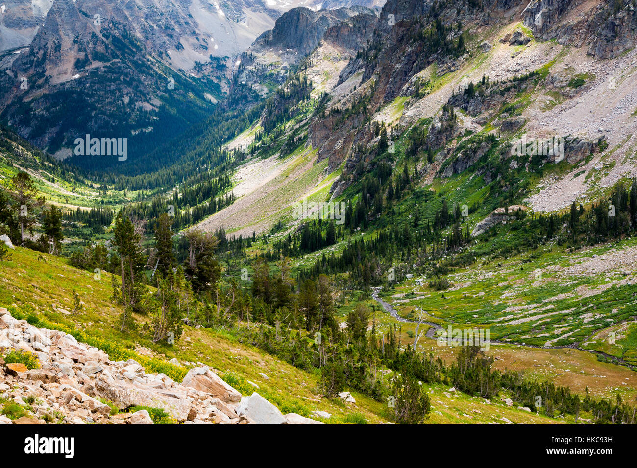 Forcella del Nord di Cascade Canyon scendendo verso la sua giunzione con cascata Canyon e il sud Forcella della cascata Canyon nel Teton Mountains. Grand Foto Stock