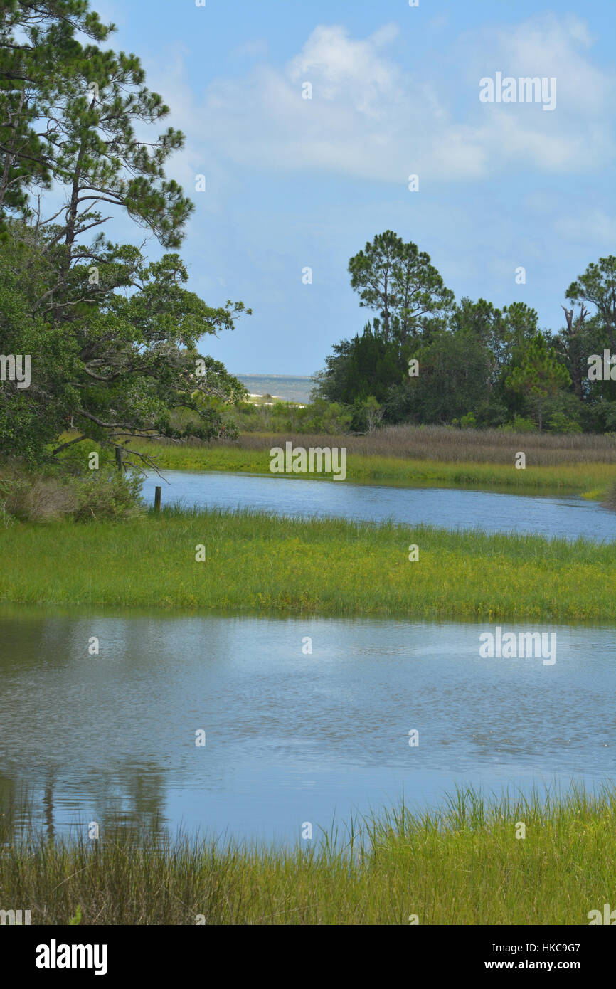 Fiume che scorre in un prato di St George Suono, Florida. Foto Stock