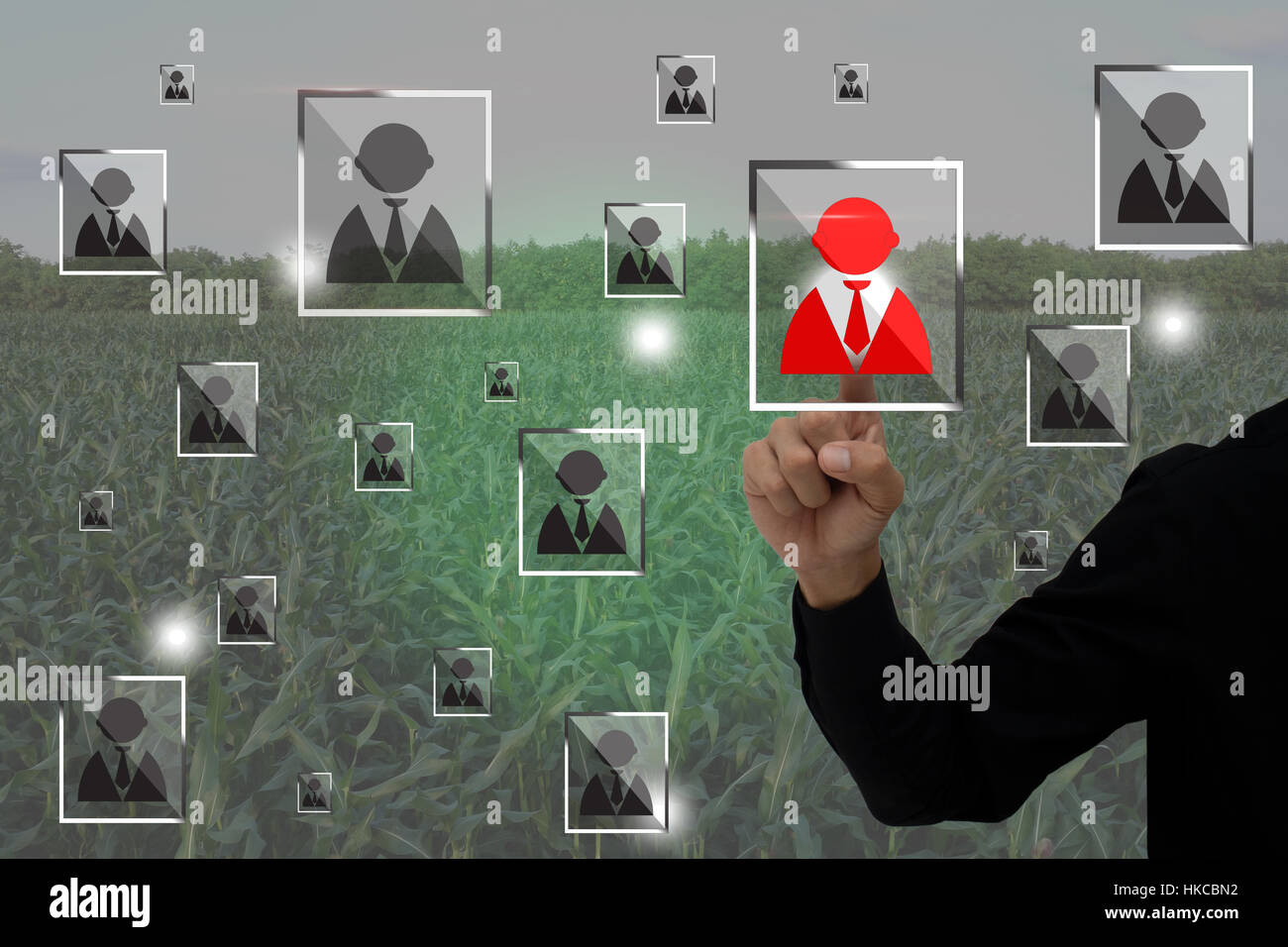 Internet delle cose agricoltura concetto, smart farming, agricoltore utilizzare applicazione realtà aumentata per gestire una risorsa umana in azienda Foto Stock