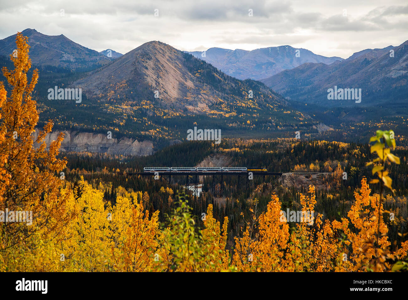 Alaska Railroad treni passeggeri passa sopra la Riley Creek Bridge in autunno, il Parco Nazionale di Denali, Interior Alaska, STATI UNITI D'AMERICA Foto Stock