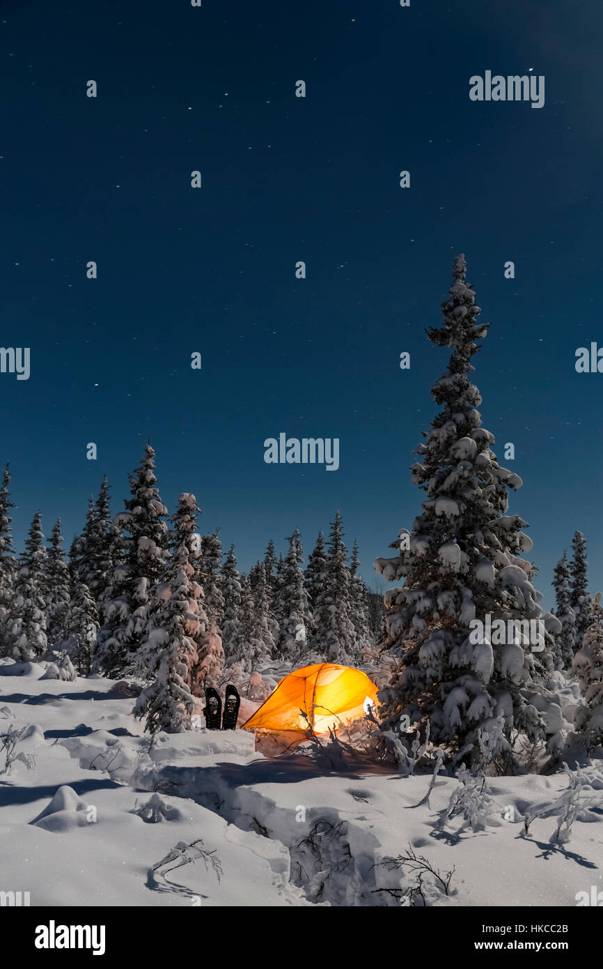 Accesa tenda tra sempreverdi e una coperta di neve la foresta, Gakona centromeridionale, Alaska, inverno Foto Stock