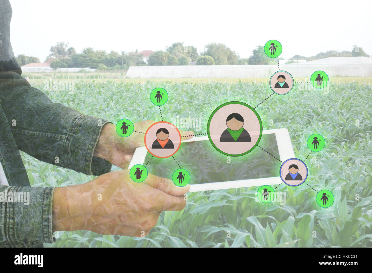 Internet delle cose il concetto dell'agricoltura,smart farming,l'agricoltore utilizza applicazione realtà aumentata per gestire una risorsa umana in azienda Foto Stock