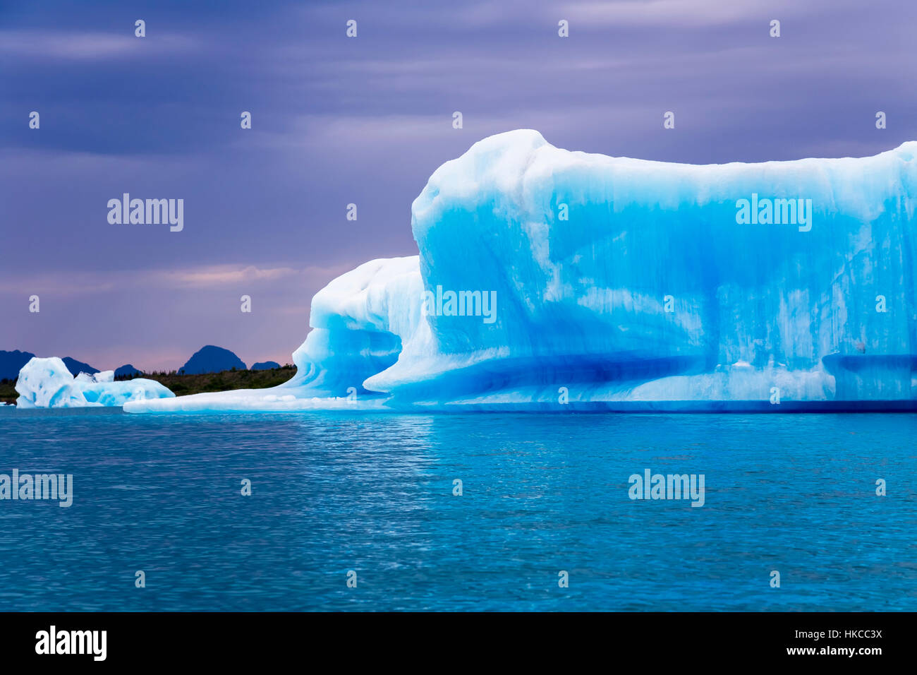 Un vibrante blu iceberg galleggianti in orso laguna glaciale nel Parco nazionale di Kenai Fjords su un nuvoloso giorno; Alaska, Stati Uniti d'America Foto Stock