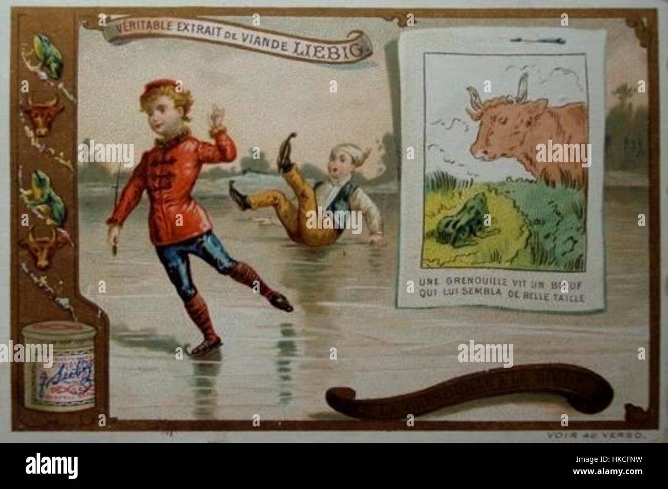 Il *Liebig Grenouille* è un'opera d'arte storica che mostra una rana, illustrando l'interesse scientifico e artistico per la natura durante il XIX secolo. Mette in evidenza il fascino per i soggetti biologici nell'arte e nella scienza. Foto Stock