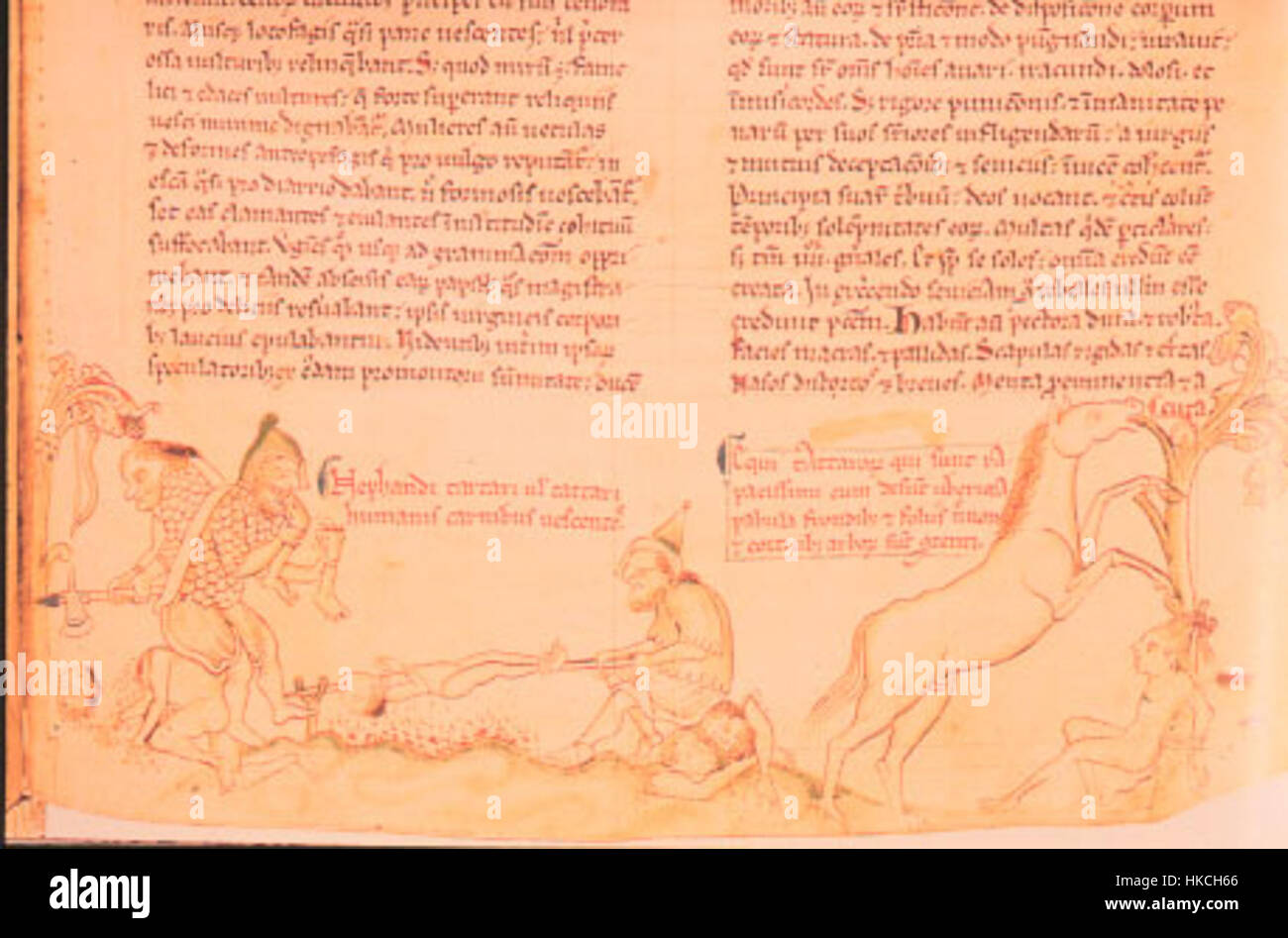 Questa scena inquietante raffigura la brutale violenza degli invasori mongoli durante le loro campagne. Il dipinto cattura la natura orribile della guerra medievale e il destino dei prigionieri durante queste violente conquiste. Foto Stock