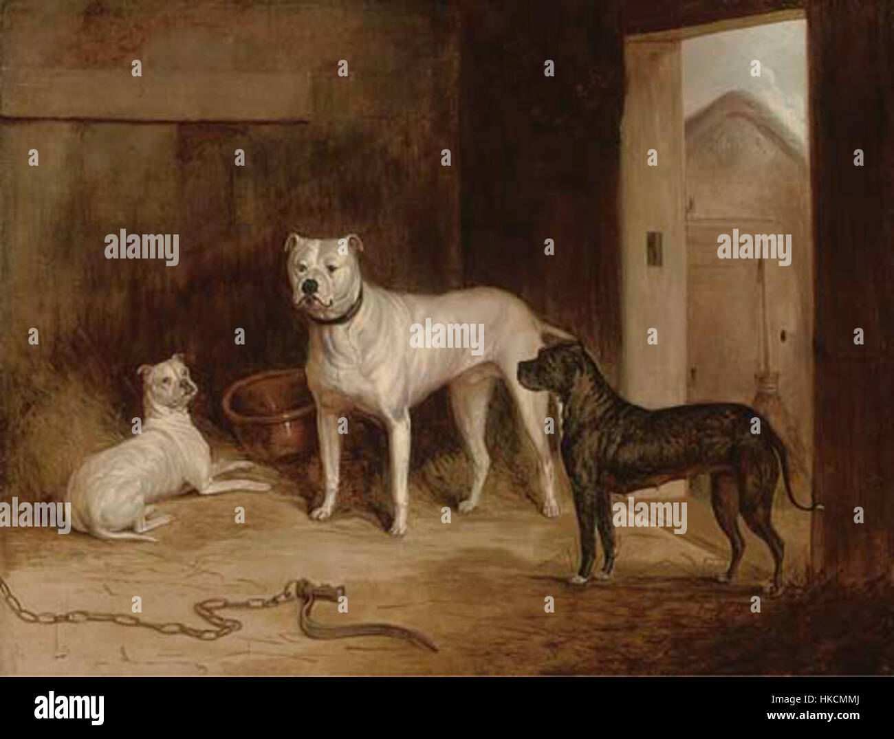 Questo dipinto del XIX secolo ritrae un bulldog accanto a due tori terrier, catturando il carattere robusto di queste razze. Le opere d'arte sottolineano il loro forte fisico e il loro comportamento giocoso, tipico dei ritratti di cani dell'epoca vittoriana. Foto Stock