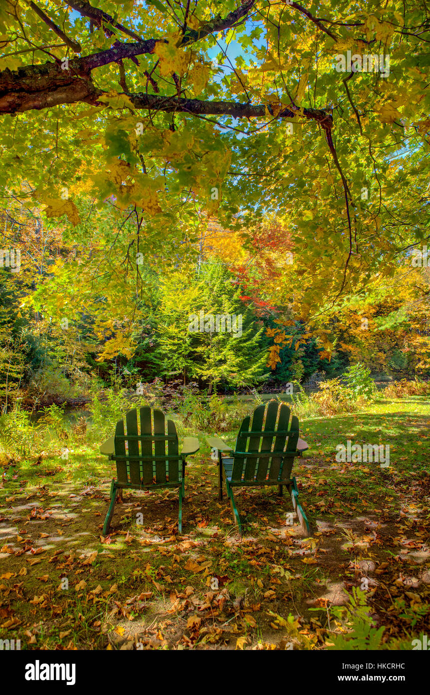 Green Adirondack sedie all'aperto sotto un albero di Acero. Foto Stock
