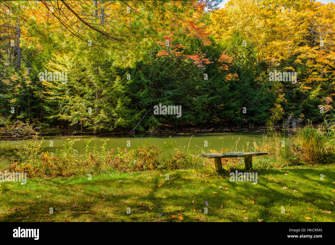 Tranquillo paesaggio di un banco di ardesia in una boscosa area picnic in Hartland, VT, Stati Uniti d'America. Foto Stock