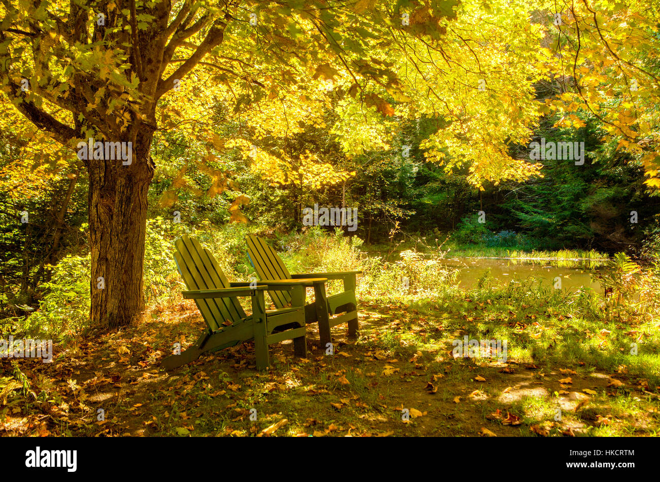 Due vuoto verde sedie Adirondack sostare sotto un albero di acero con colore dorato nel Vermont. Foto Stock