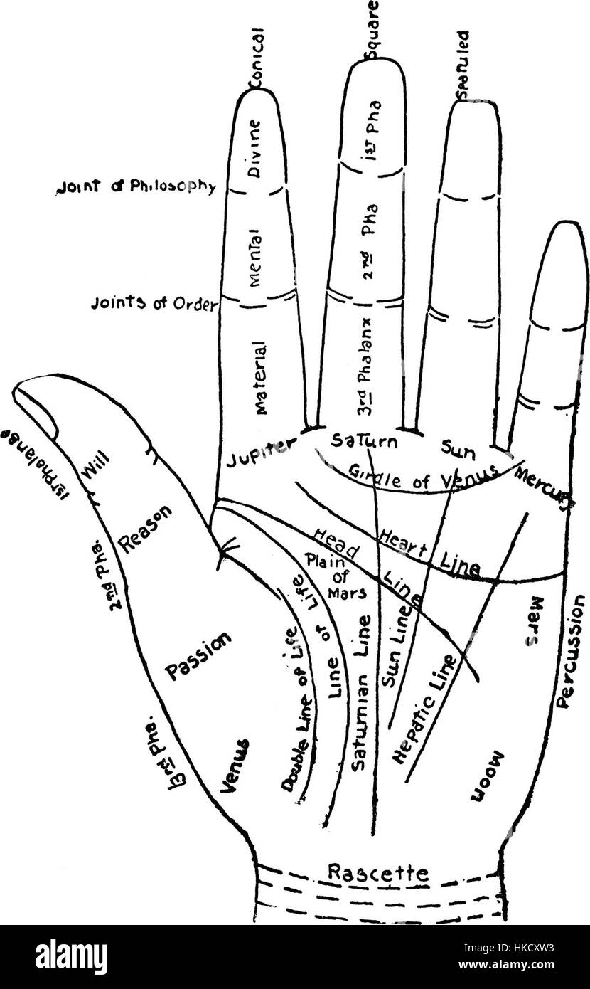 *Grafico della mano* è un diagramma storico che illustra le caratteristiche della mano umana. Questo grafico è stato utilizzato in vari contesti educativi e anatomici per studiare la struttura e le funzioni della mano, offrendo rappresentazioni dettagliate di ossa, muscoli e tendini. Foto Stock