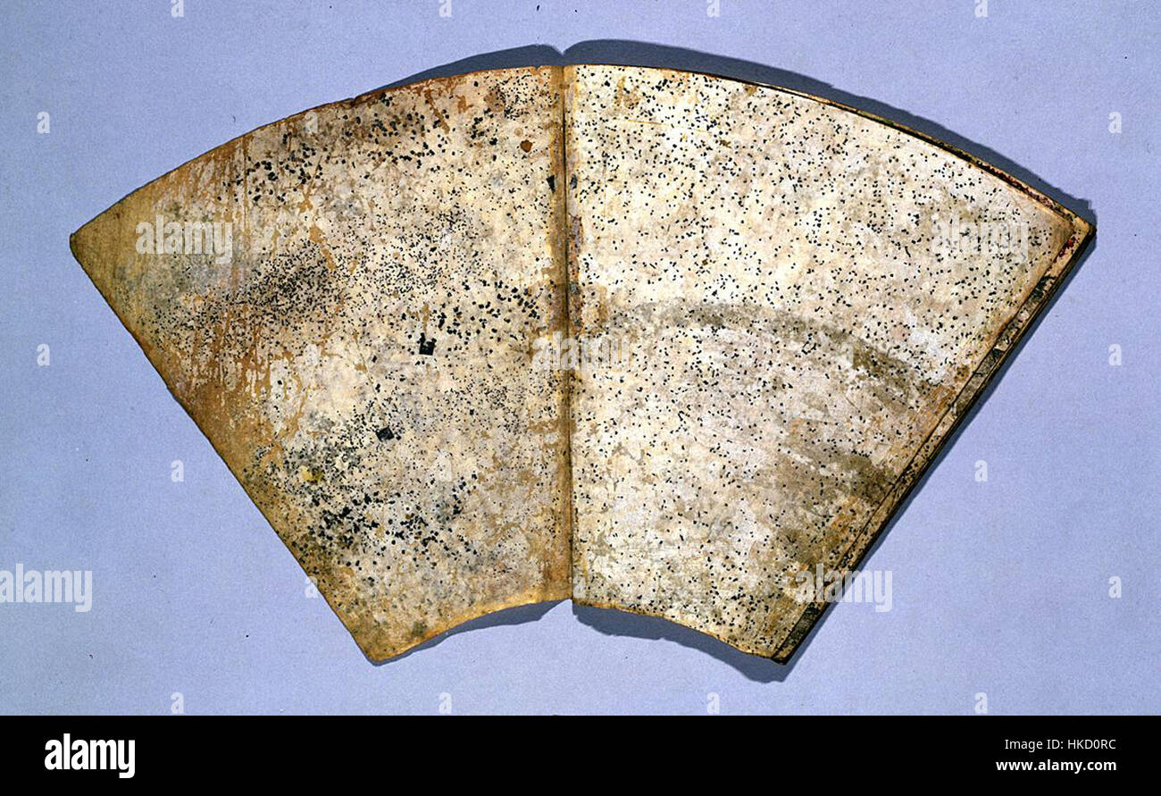 Il *fan Paper album 20* presenta una collezione di opere decorative, che mostrano disegni intricati su carta a ventaglio, una forma d'arte comune durante la fine del XIX secolo. L'album mette in evidenza vari modelli ornamentali e tendenze artistiche del periodo. Foto Stock