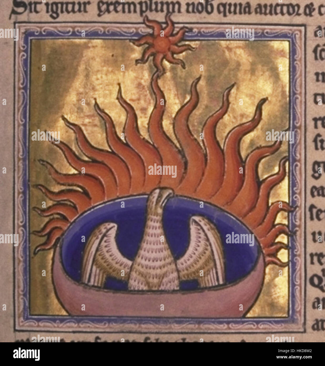 Questa illustrazione dettagliata di una fenice del Bestiario di Aberdeen raffigura l'uccello mitico, simboleggiando la risurrezione e l'immortalità. Il Bestiario di Aberdeen è un manoscritto medievale noto per le sue vivide e simboliche raffigurazioni animali. Foto Stock