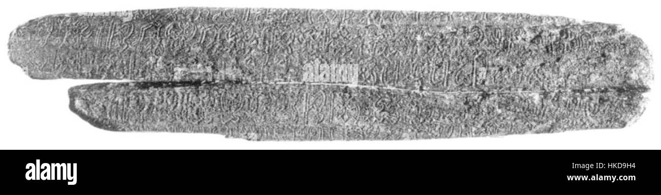 Rongorongo è un sistema di glifi unico e indecifrato, originario dell'Isola di Pasqua. Questa opera d'arte, intitolata "Rongorongo N", esplora gli enigmatici simboli attraverso illustrazioni dettagliate, offrendo uno sguardo all'antica scrittura. Foto Stock