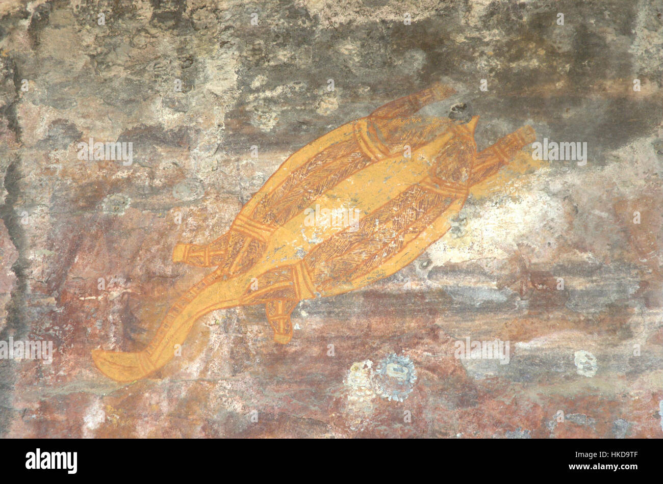 Un dipinto di roccia raffigurante una tartaruga, che mostra stili artistici indigeni. L'immagine riflette il significato culturale e i metodi artistici utilizzati dalle prime comunità per esprimere il loro ambiente e le loro credenze. Foto Stock