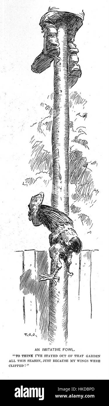 "An Imitative Fowl" di T. S. Sullivant è un'illustrazione umoristica e stravagante, che dimostra la sua abilità caratteristica nel combinare soggetti animali con qualità simili a quelle umane. Questo pezzo del 1898 mostra un animale che imita i comportamenti umani, catturando lo stile distintivo dell'artista di satira giocosa. Foto Stock